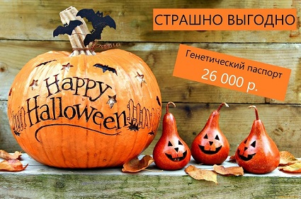 Акция "Страшно выгодно"